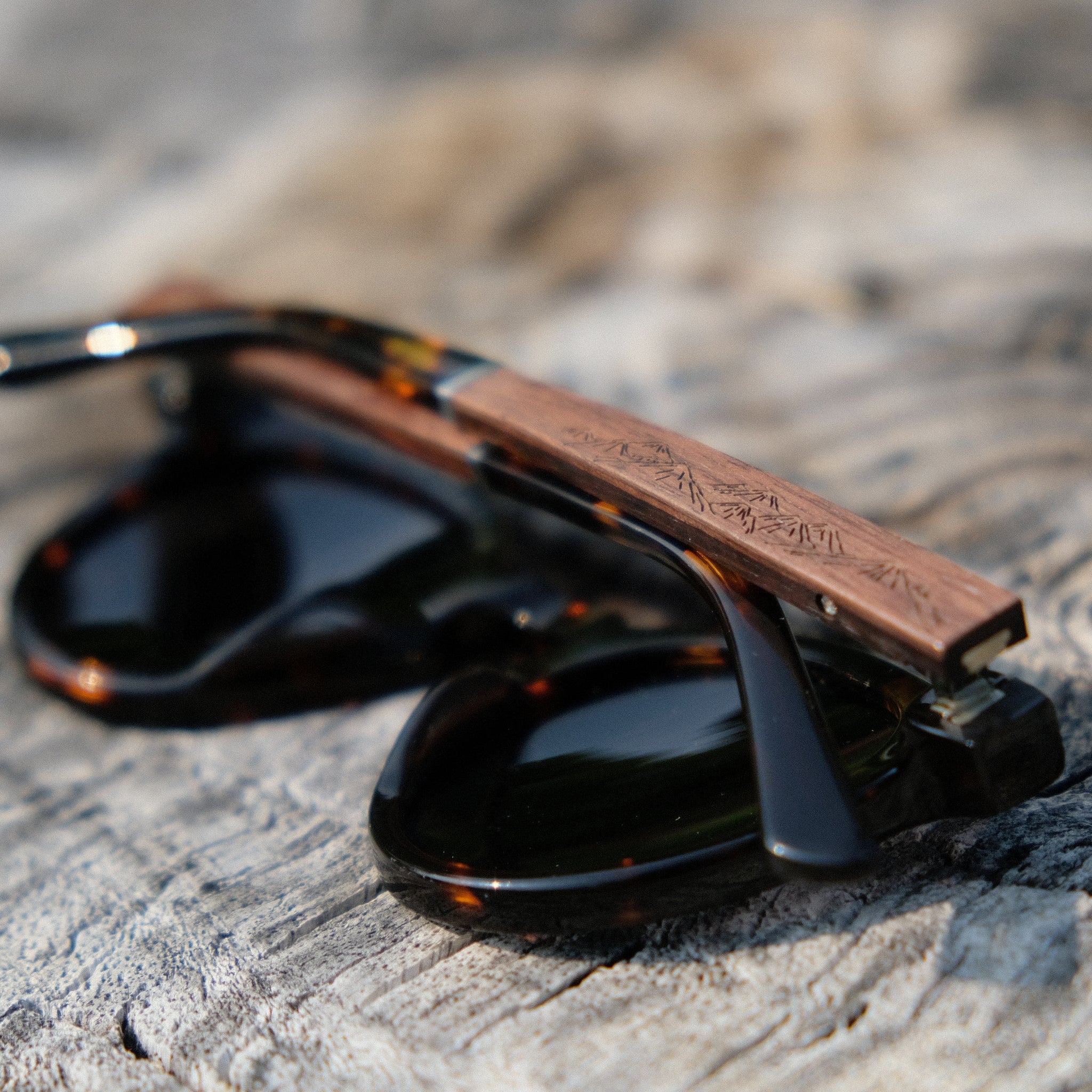 Overlander - Tortoiseshell / Walnut & Ebony