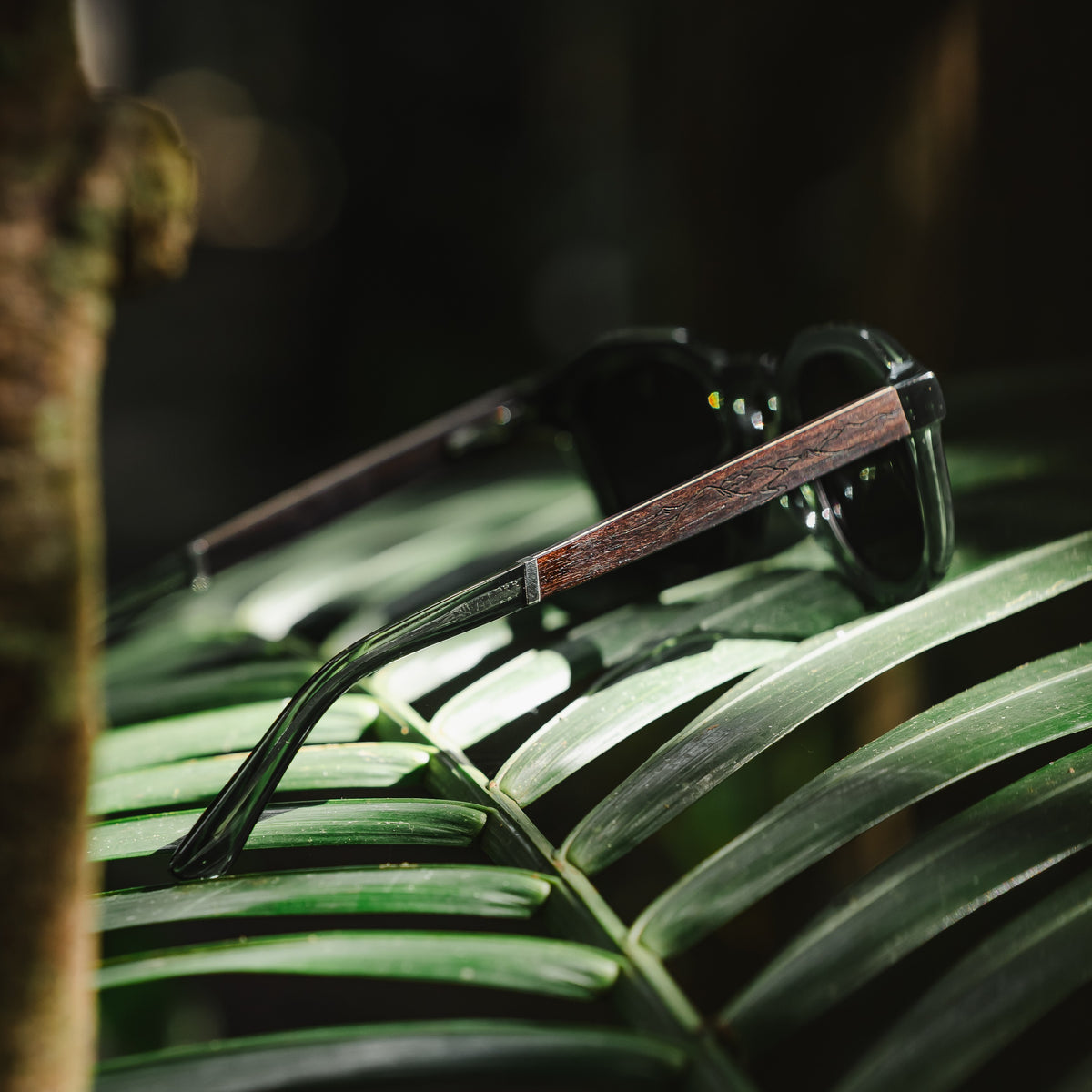 Solitary - Transparent Dark Green / Ebony & Maple
